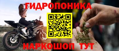 ECSTASY Гусев