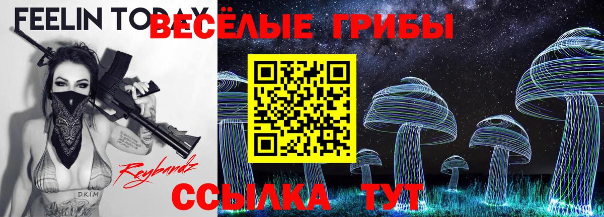 Муром  Галлюциногенные грибы мицелий  Псилоцибиновые грибы ЛСД  Вход с VPN 