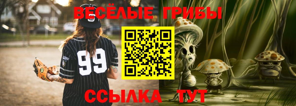 Псилоцибиновые грибы Psilocybe Муром
